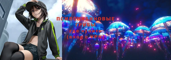 крисы Балабаново