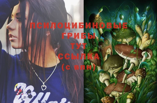 стафф Балахна