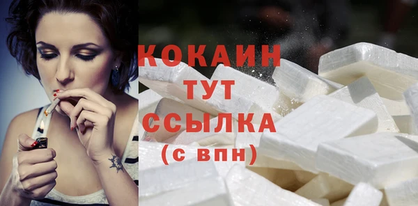 шишки Богородицк