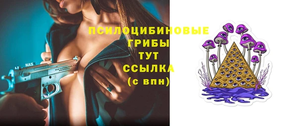 тгк Белокуриха