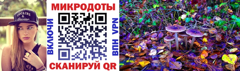 Псилоцибиновые грибы мицелий  цена наркотик  Армавир 