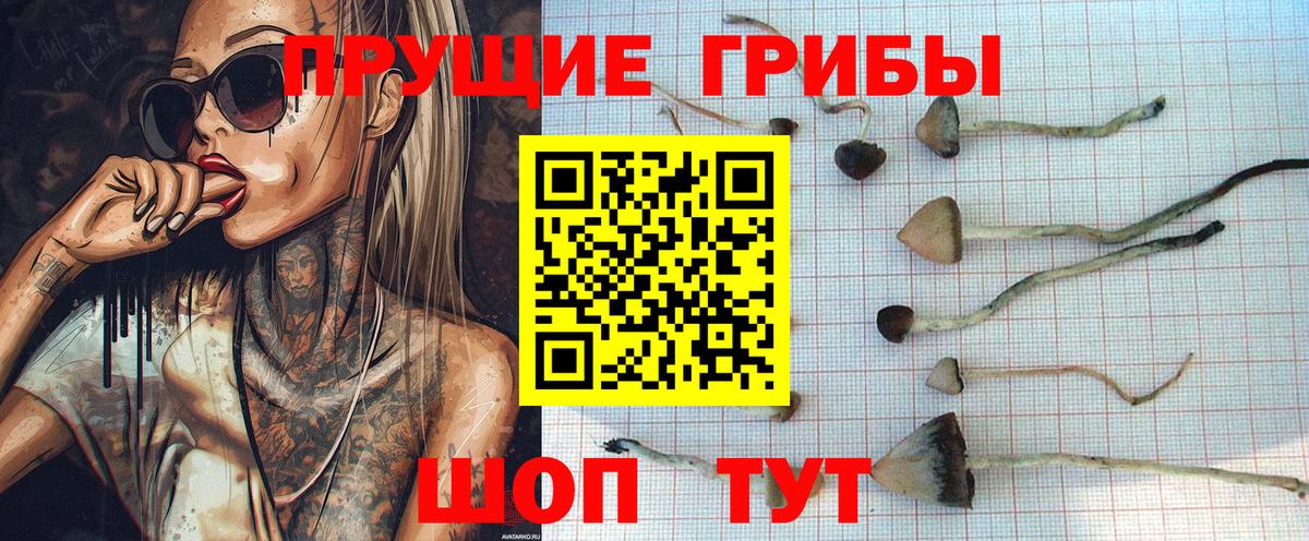 Псилоцибиновые грибы ЛСД Армавир
